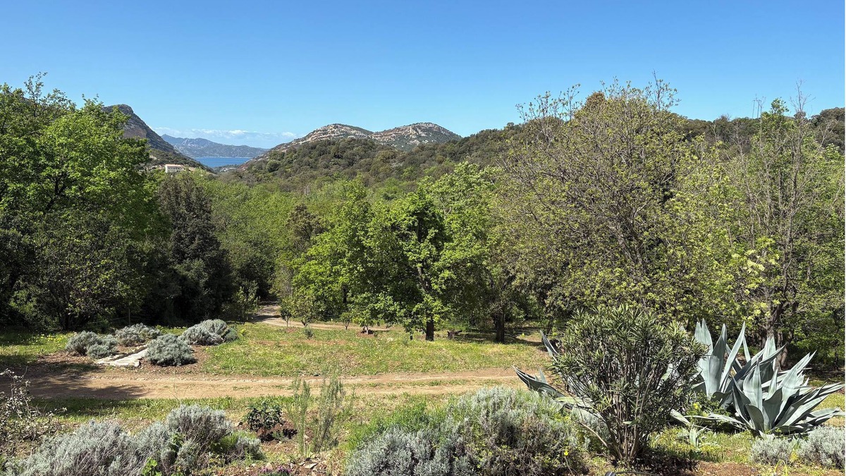 Barbaggio House | CHARMING CORSICAN HOUSE
