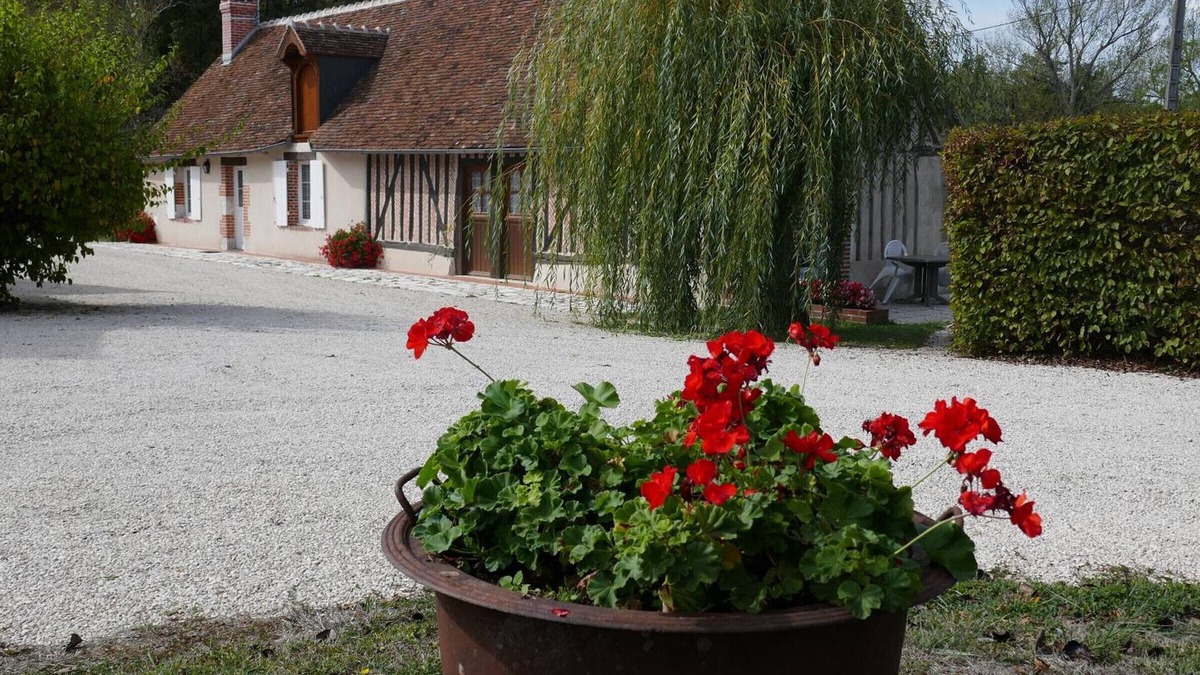 Cour-Cheverny Cottage | Charming Cottage for 5 with Terrace, Near Loire Castles, Pet Friendly, Internet, Baby Amenities