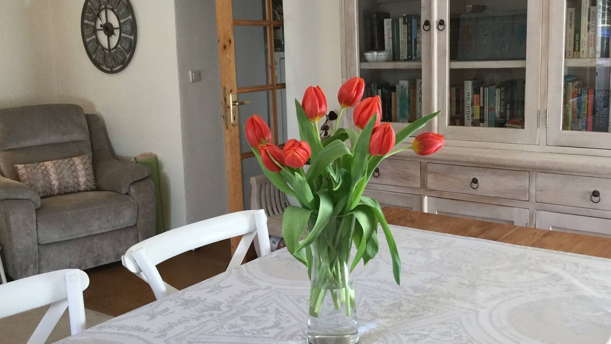 Monplaisant House | CHARMING COTTAGE HOME IN THE DORDOGNE