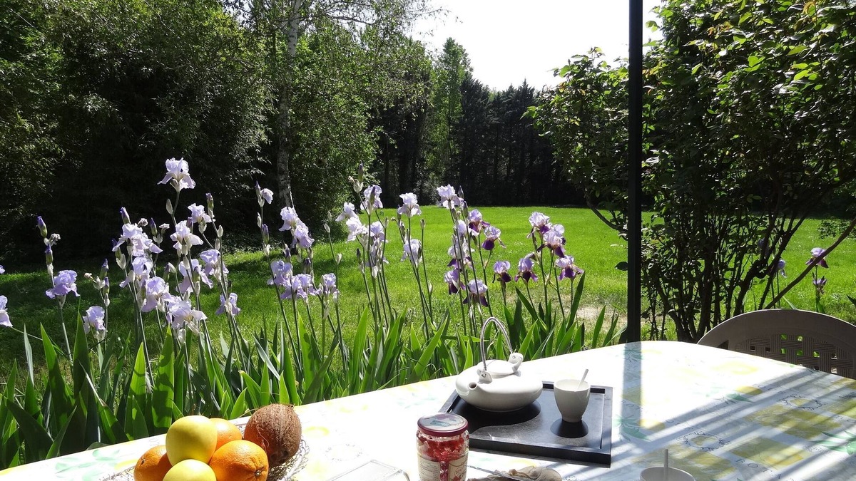 Apt House | Charming cottage - private terrace overlooking the large wooded park