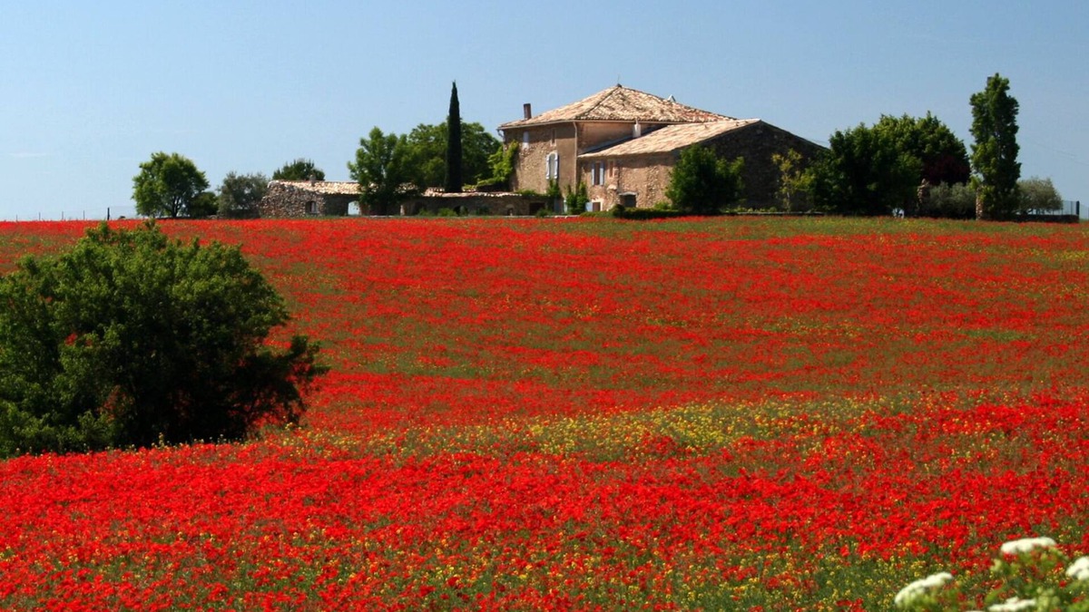 Valensole Other | Charming country house with swimming pool