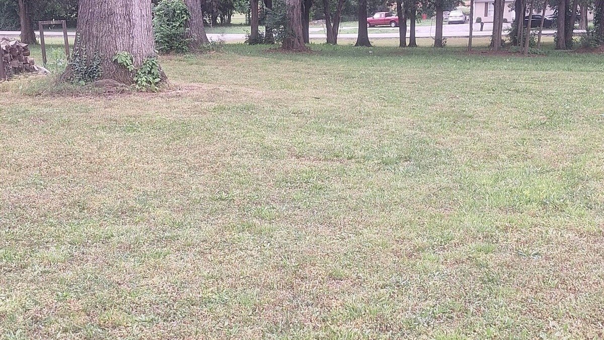 Smyrna House | Charming Country yet close restaurants and entertainment nice 3-bedroom 2 bath