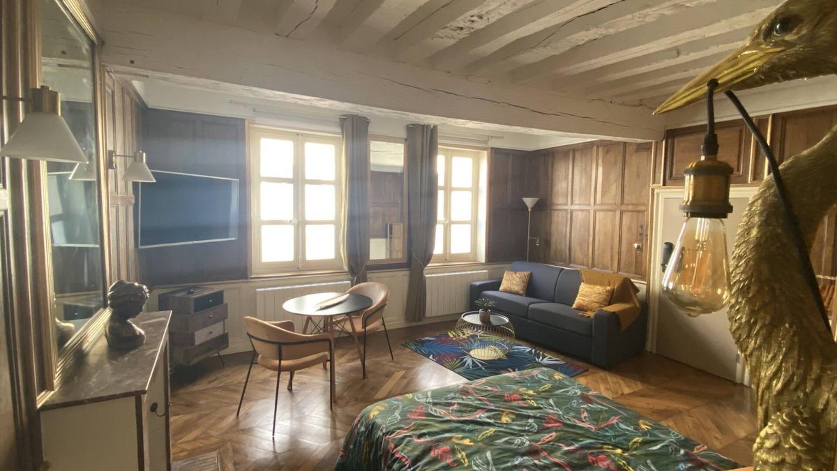 Auxerre Apartment | Charming F1 apartment, quiet, in the town center, Parking at the foot of the building