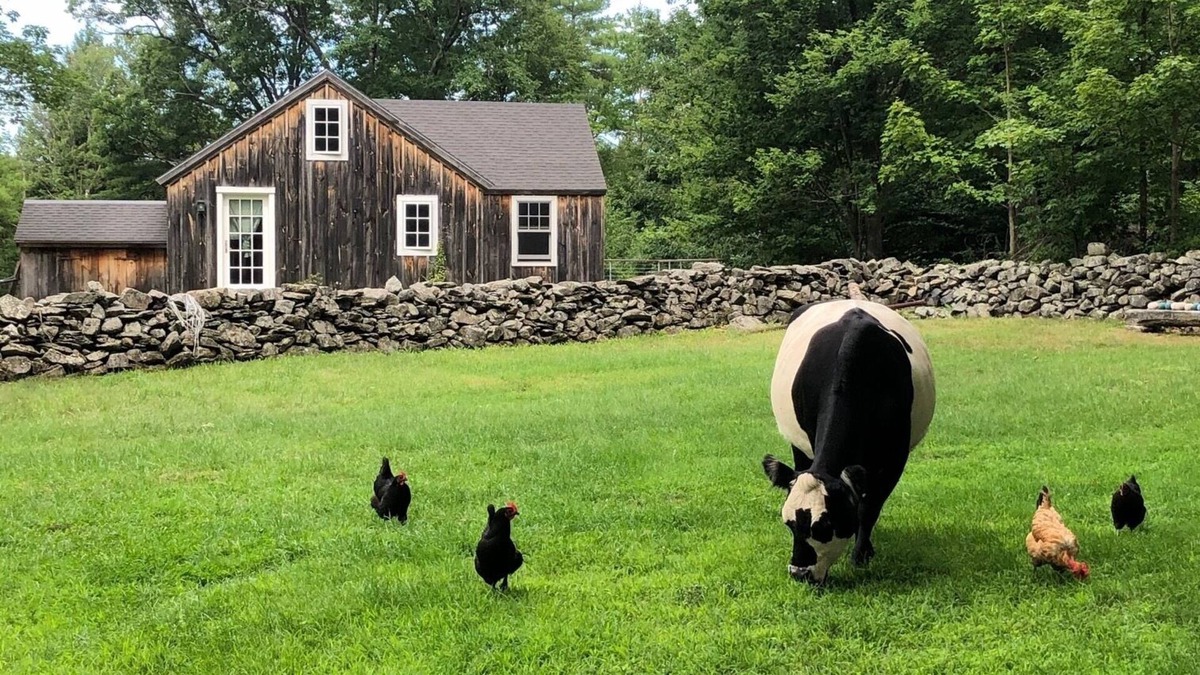 Brookline Cottage | Charming farm cottage with mountain views