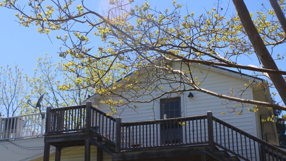 Sutherlin Other | Charming farmhouse with WiFi and AC in lovely Sutherlin