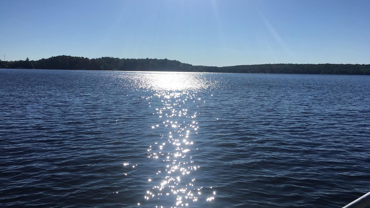 Bracebridge Cottage | Charming Four Season Cottage on Lake Muskoka