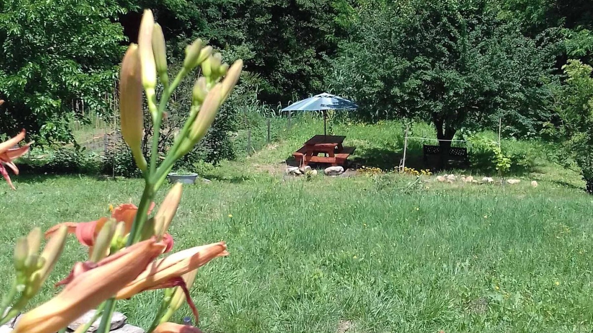 Le Martinet Apartment | Charming gîte overlooking the Cévennes and 3000m2 grounds