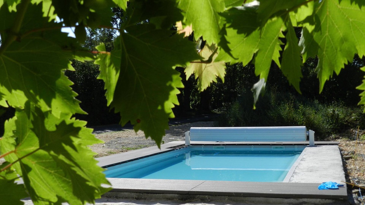 Lombers House | CHARMING GITE with swimming pool . Center Tarn