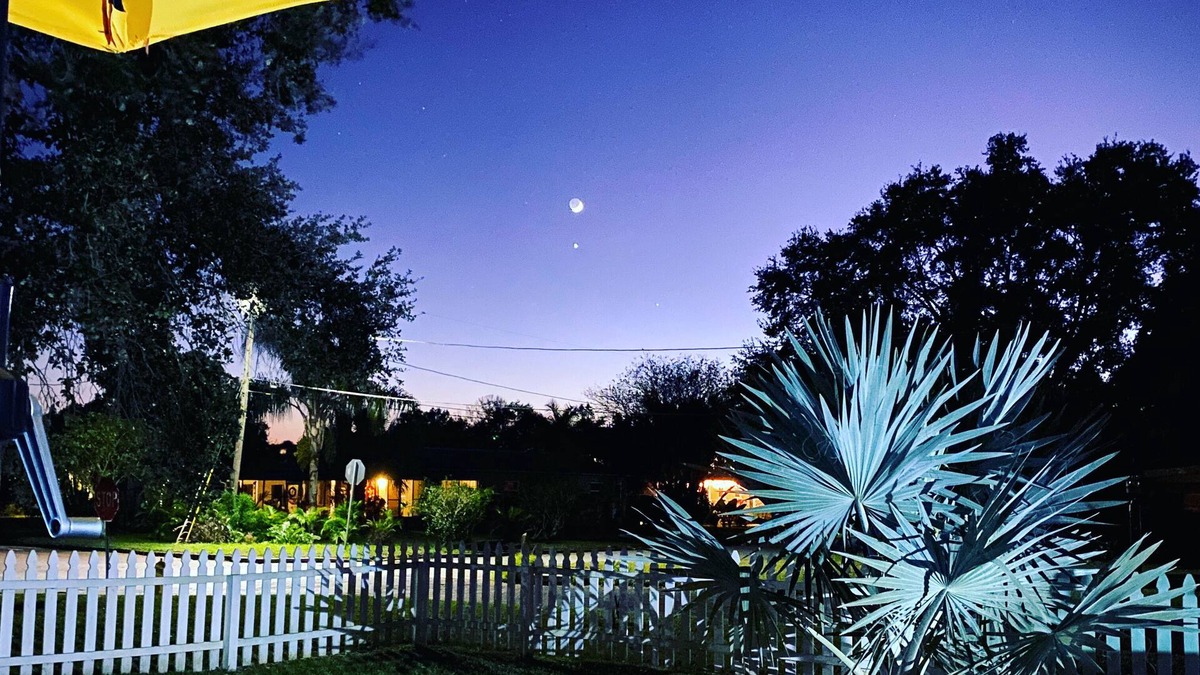 Gulfport Apartment | Charming Gulfport Town Guest Cottage Studio -Walk To Beach -Shops -Restaurants