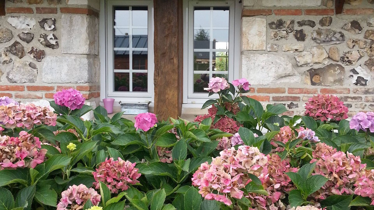 Barneville-sur-Seine House | charming house on the plateau near the Seine
