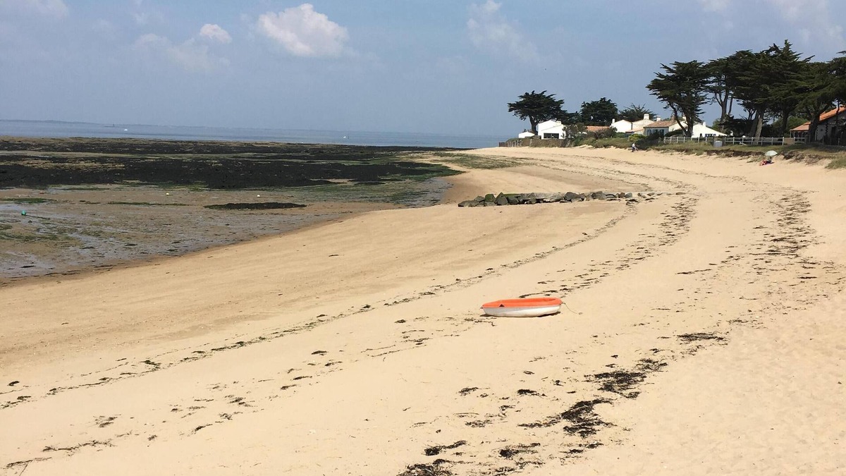Noirmoutier-en-l'Ile House | Charming house 6/8pers, wifi, enclosed garden with swimming pool, 300m from beaches