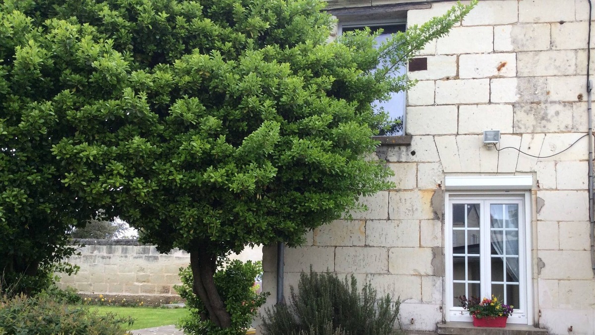 Varrains House | Charming house in a winegrowers' village
