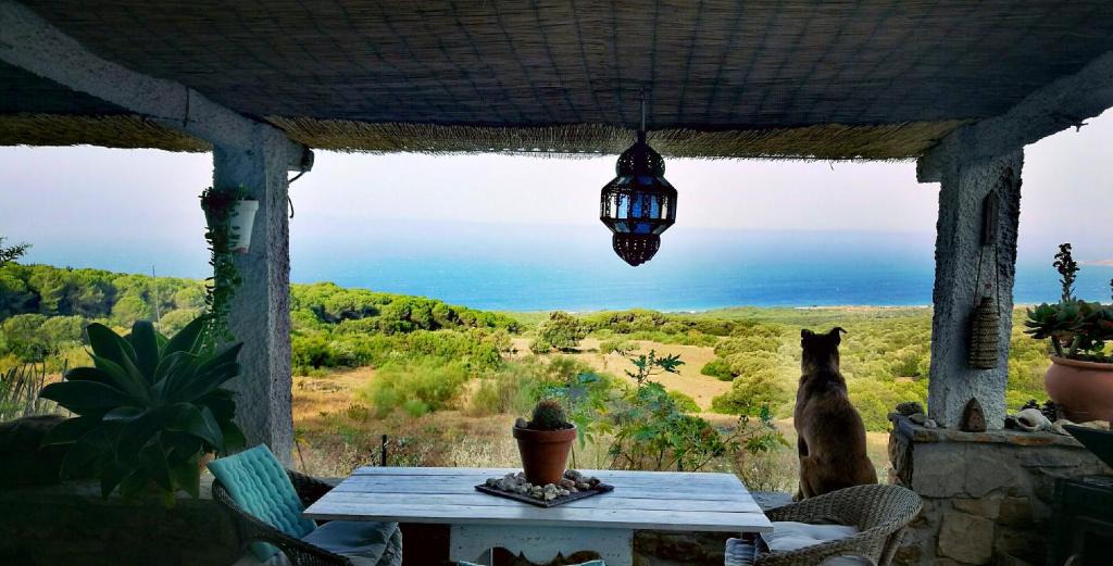 Bolonia House | Charming House in El Chaparral