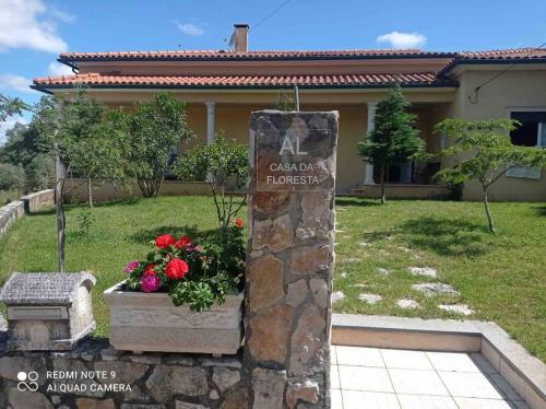 Ansiao House | Charming house near Santiago Da Guarda with private pool.