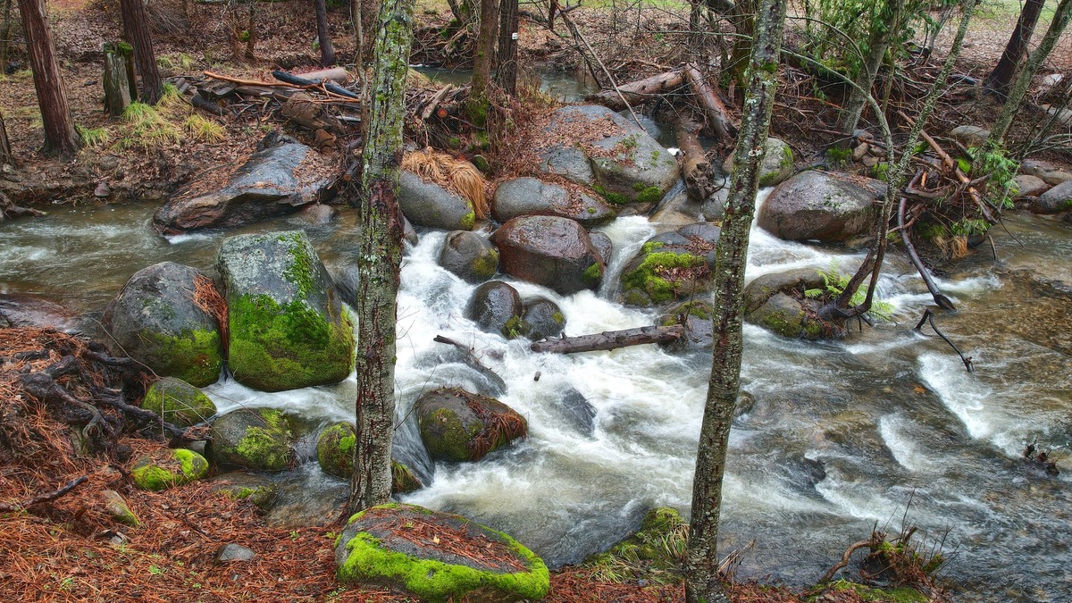 Oakhurst House | Charming house near Yosemite with a Creek