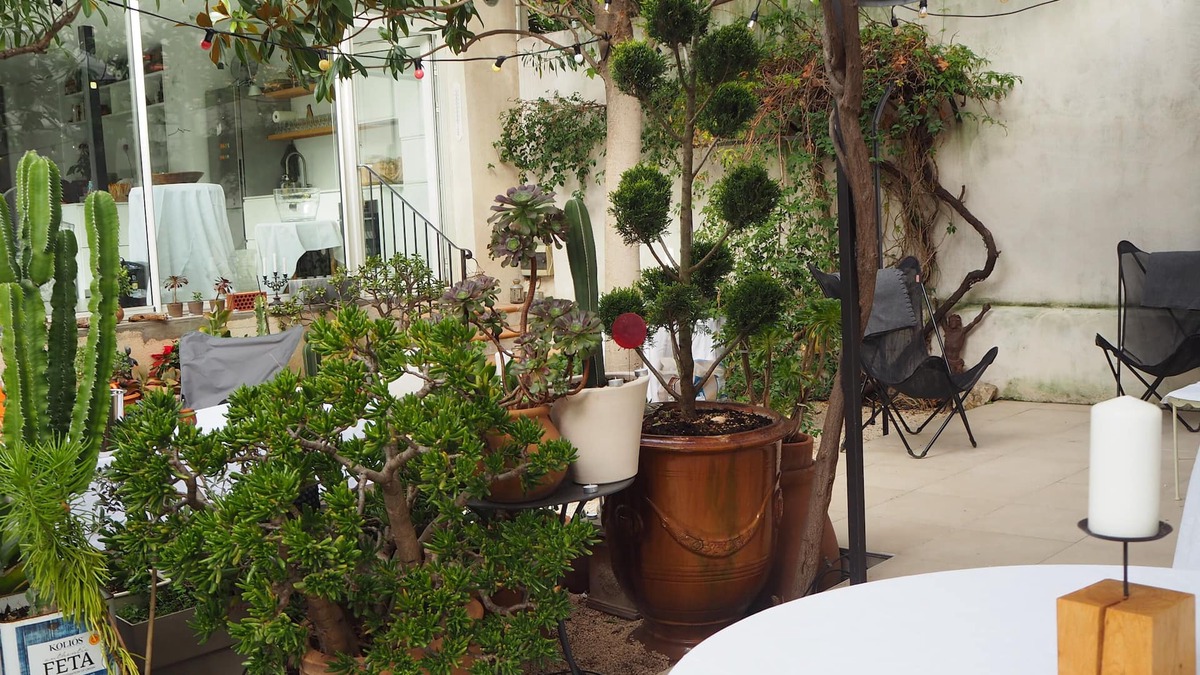 Saint-Victor House | CHARMING HOUSE WITH GARDEN NEAR VIEUX PORT n - ENDOUME ST VICTOR13007 MARSEILLE