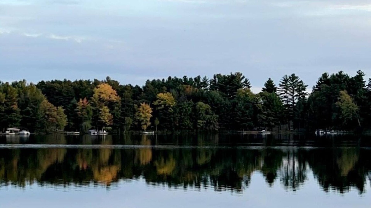 Wild Rose House | Charming Lake House!