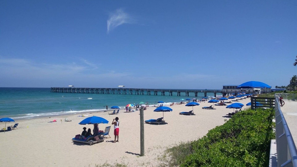 Parrot Cove House | Charming Lake Worth Beach Home with Heated Salt Water Pool! 4 min to the Beach!