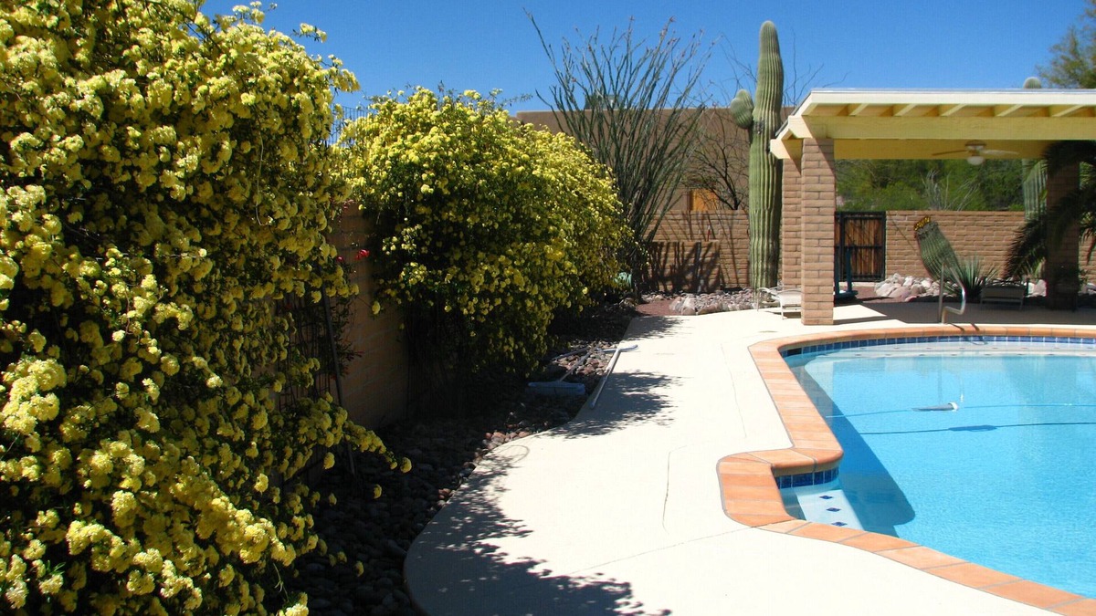 Catalina Ranch Estates Apartment | Charming Large Guest Suite in Tanque Verde Valley