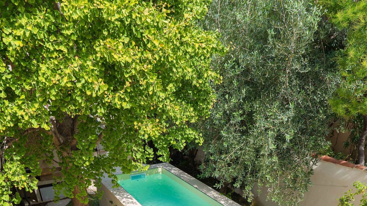 Endoume House | Charming Mediterranean House Wifi NetFlix PrimeVideo Disney