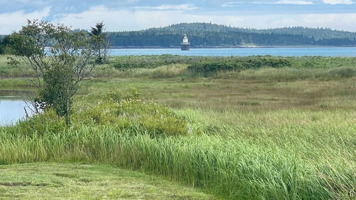 Lubec Cottage | Charming Newly-Renovated Waterfront Cottage in Lubec