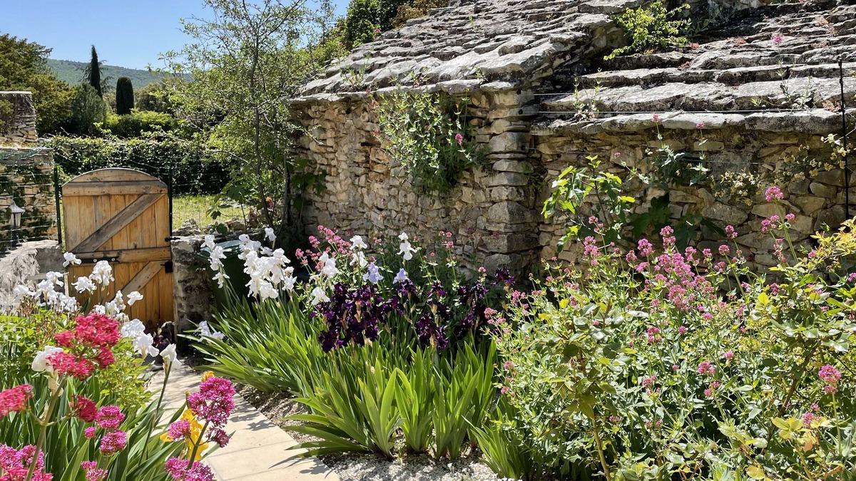 Blauvac House | Charming Rustic Stone House with Pool in Idyllic Rural Setting near Mt Ventoux.