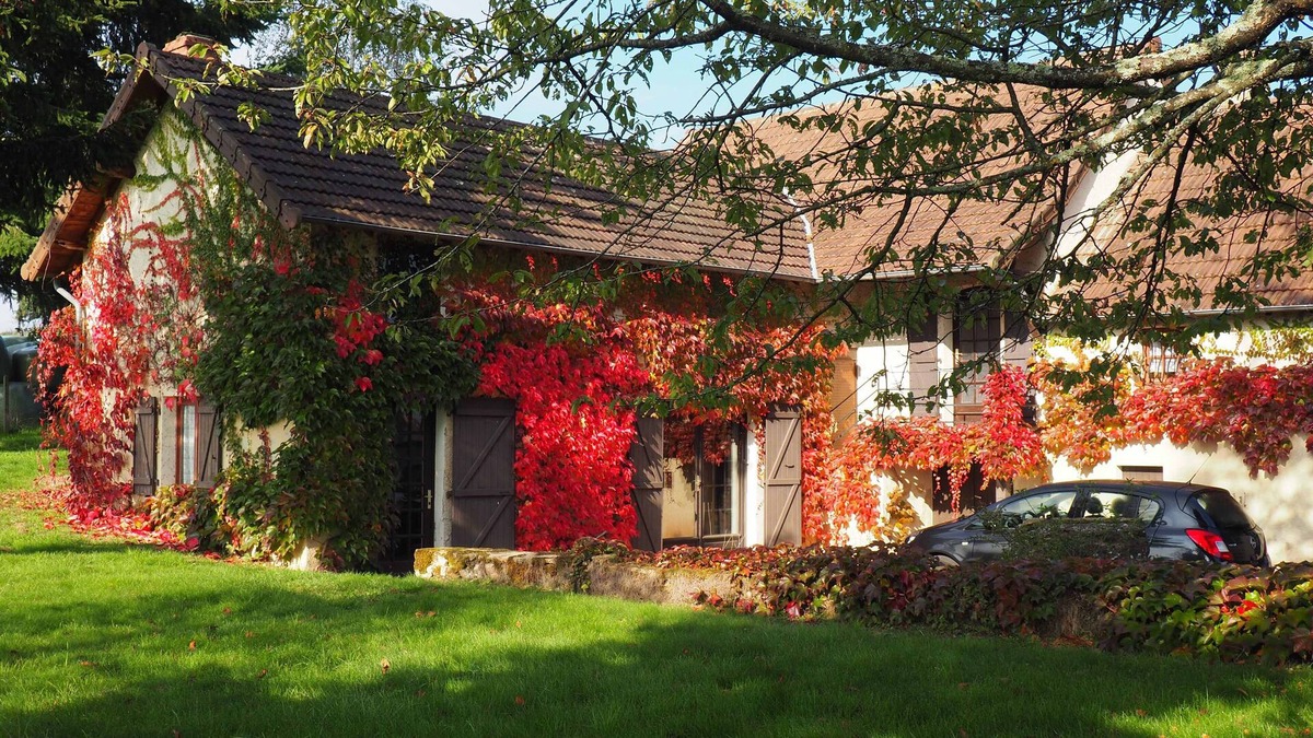 Trivy House | Charming stone cottage on its own land in Southern Burgundy