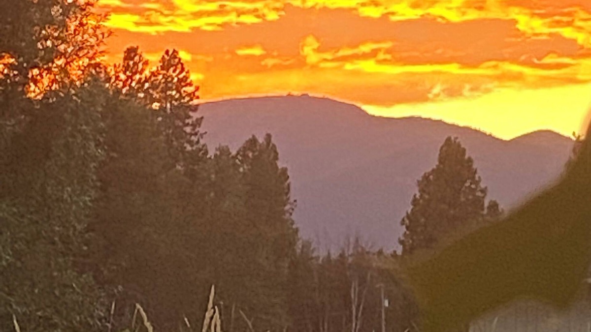 Ponder Point Apartment | Charming studio in beautiful Sandpoint Idaho.
