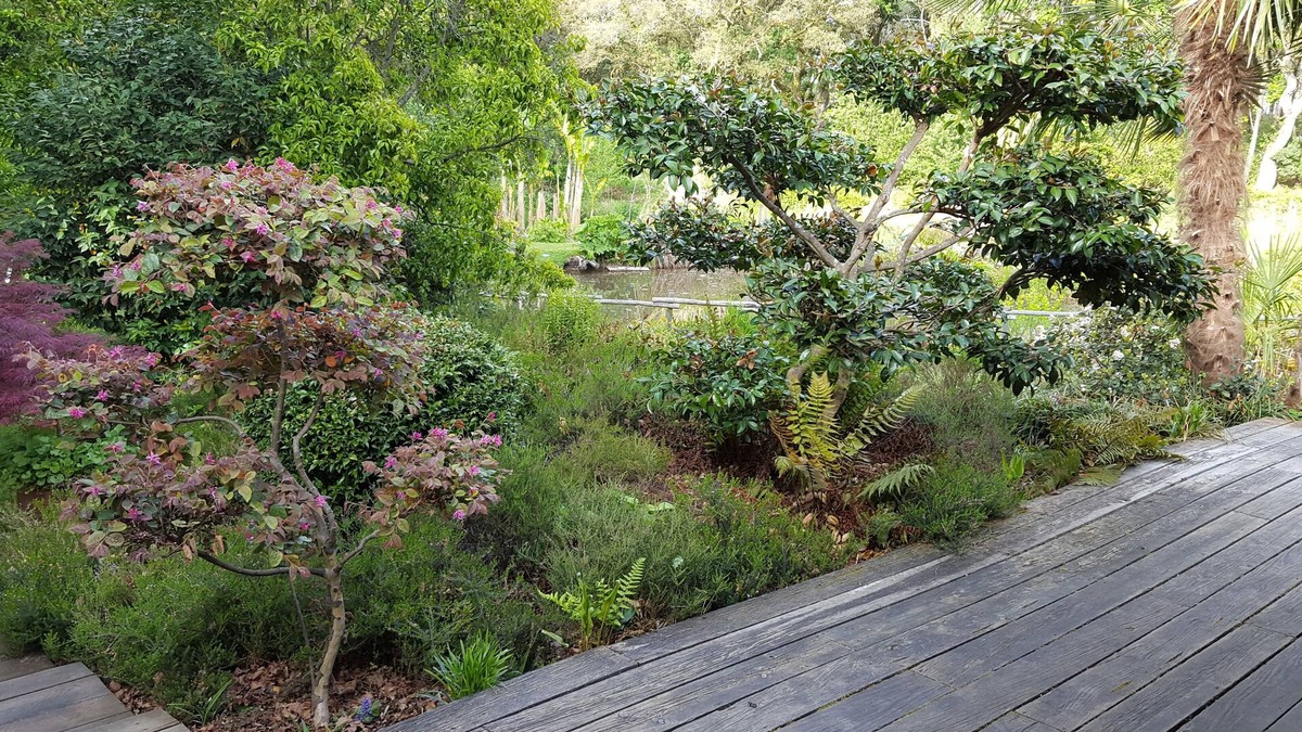 Soustons Apartment | Charming studio in the heart of the pine forest