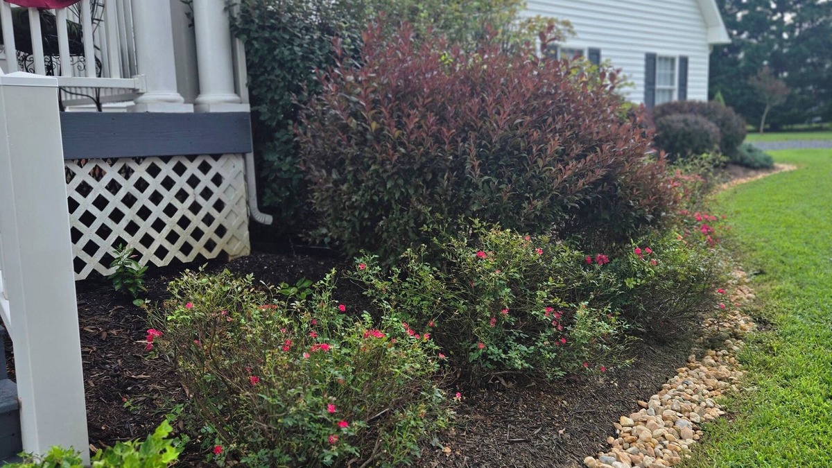 Andersonville Apartment | Charming studio in welcoming Dillwyn, near Farmville