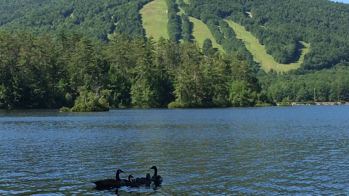 Bridgton Cabin | Charming Waterfront Cabin with Mountain View and Private Beach Access!