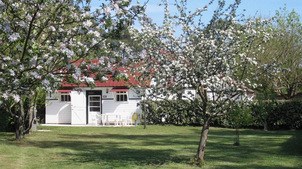 Mimizan Ski Chalet | Charming, well-equipped cottage, 6 for pers. at 5 km from the beach
