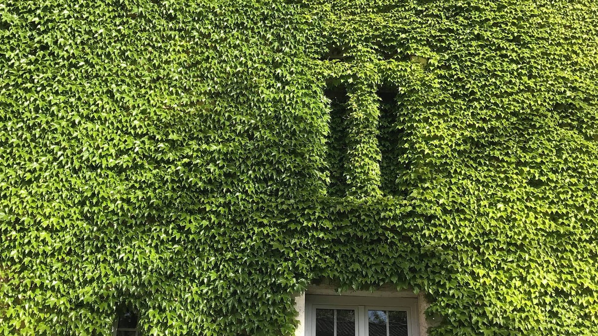 Artigues House | Chateau d Artigues