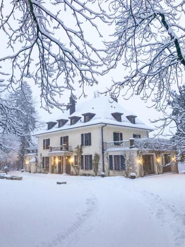 Echenevex Villa | Chateau d 'Echenevex, Geneva