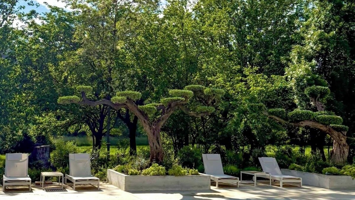 Draguignan Bed & Breakfast | Chateau Pimo