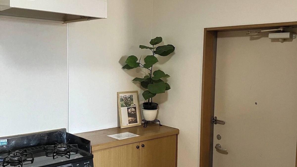 Toi Apartment | Cheap price nonsmoking 40m110 people 2DK with bath and toilet good condition/Izu Shizuoka