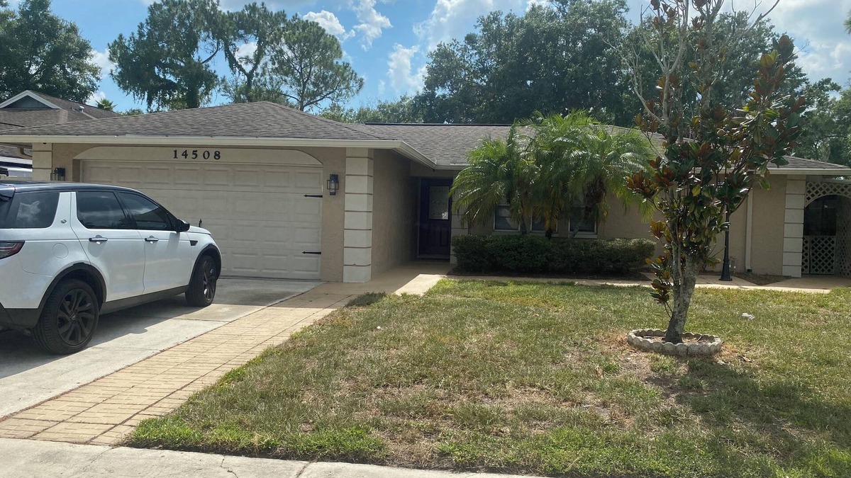 Citrus Park House | Cheerful, family friendly home