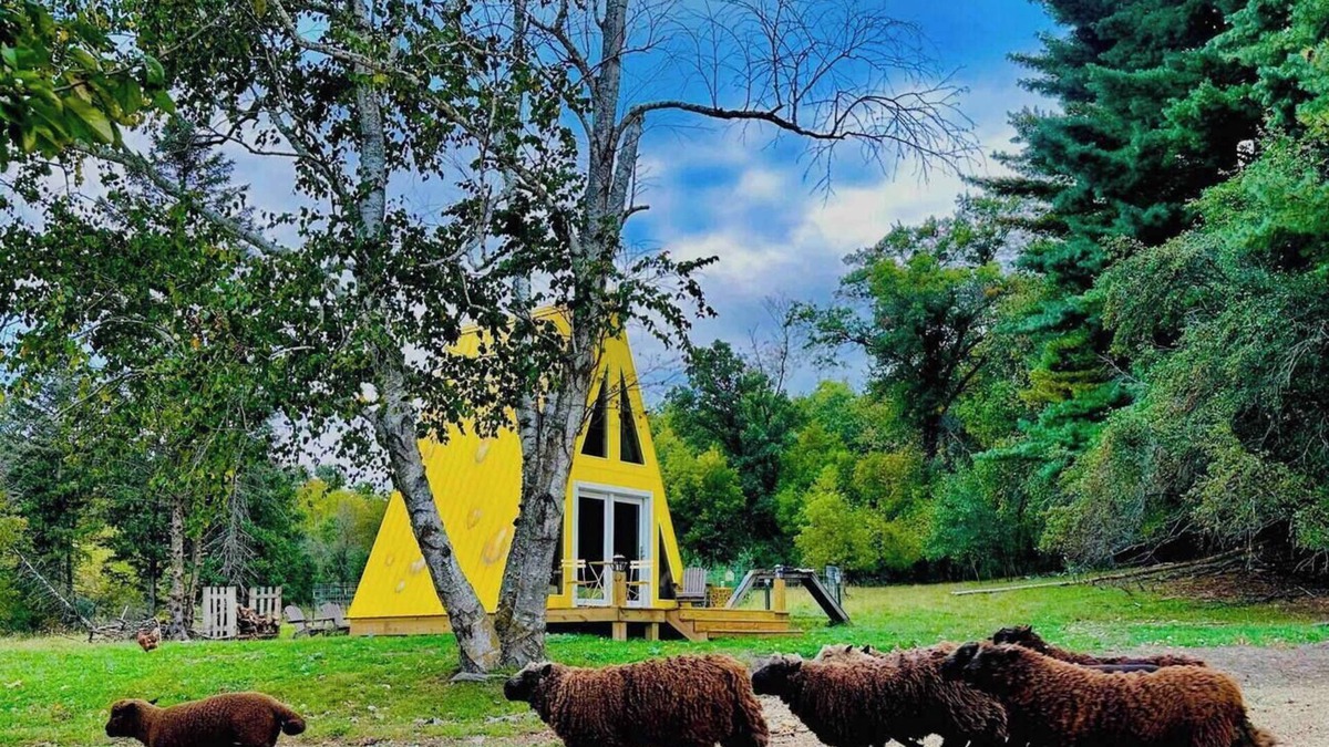 Highland Cabin | Cheese Wedge Cabin Idyllic Farm