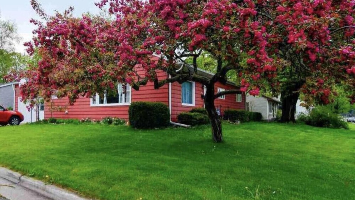 Sturgeon Bay House | Cherry Corner Cottage-Vintage 3 Bedroom Home *instant booking*