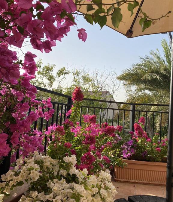 Dubai Investment Park Bed & Breakfast | Cherrywood House