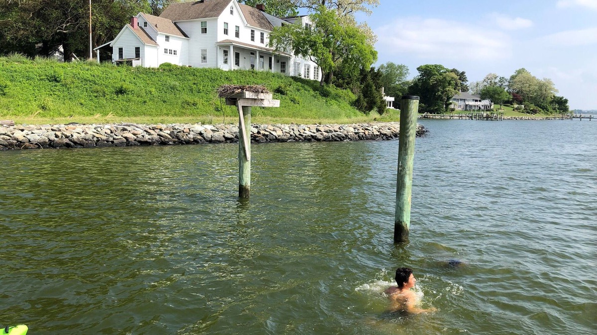 Lusby Other | Chesapeake Bay Waterfront 5+ Bedroom 7-Acre Historic Farm Near Solomons Island