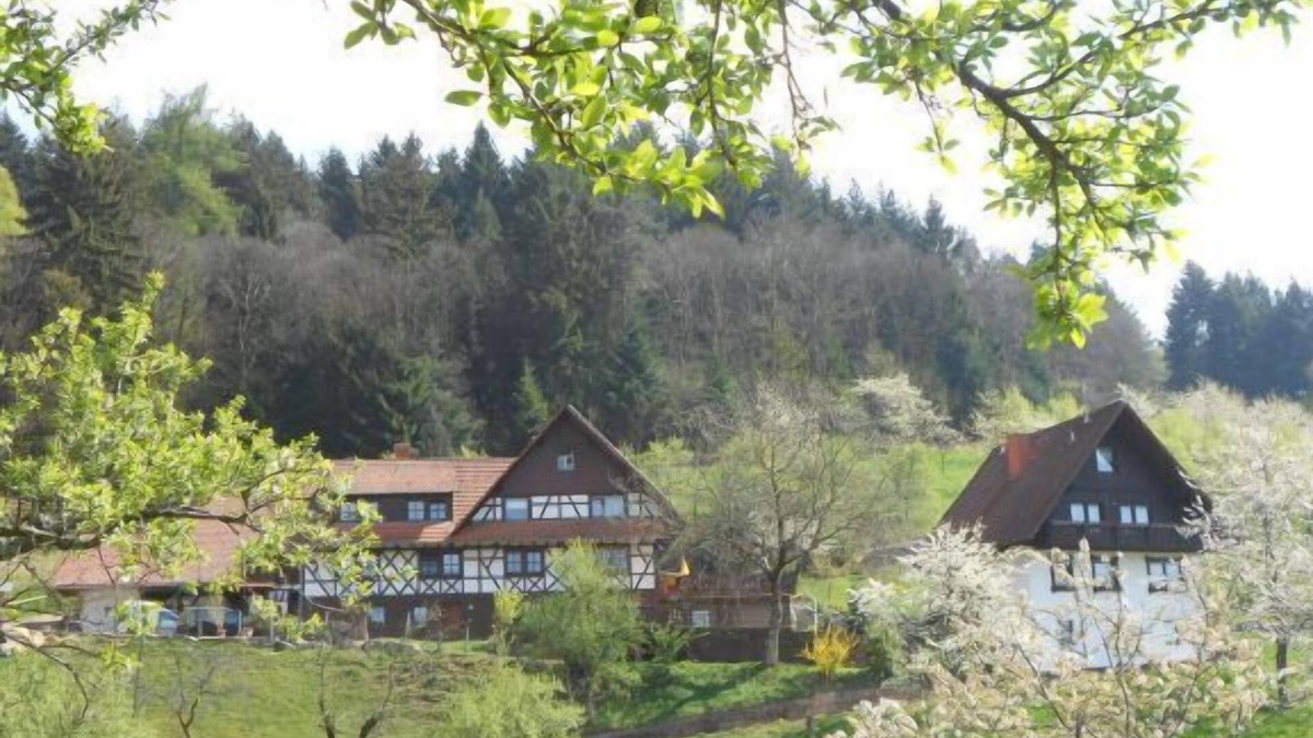 Busterbach Apartment | Chestnut log cabin, max. 4 persons