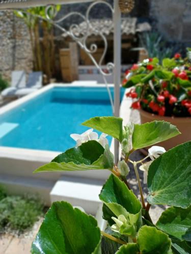 Dions Bed & Breakfast | Chez les filles