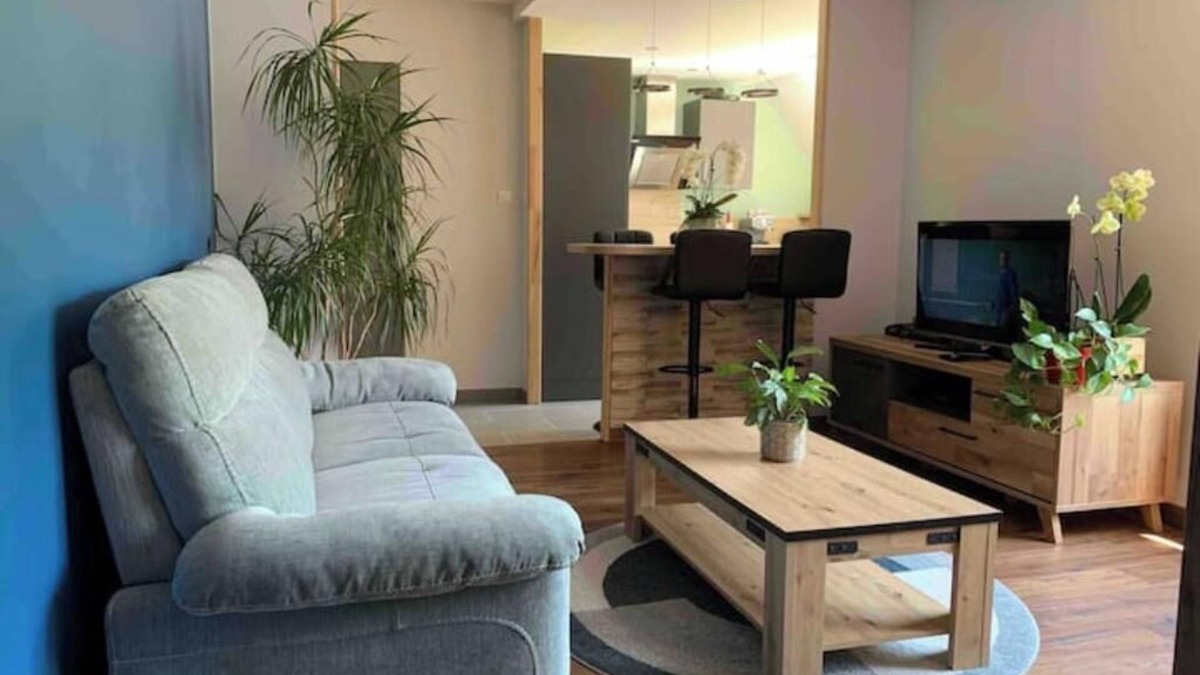 Kaysersberg-Vignoble Apartment | Chez Mathias bright apartment ~ private garage