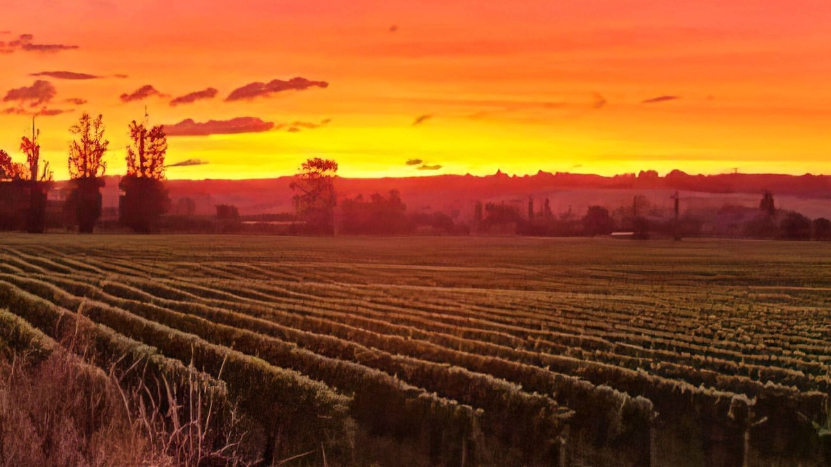 Hope Apartment | Chic 2br Unit Pool, 8 Mins Richmond, Bring Rover!