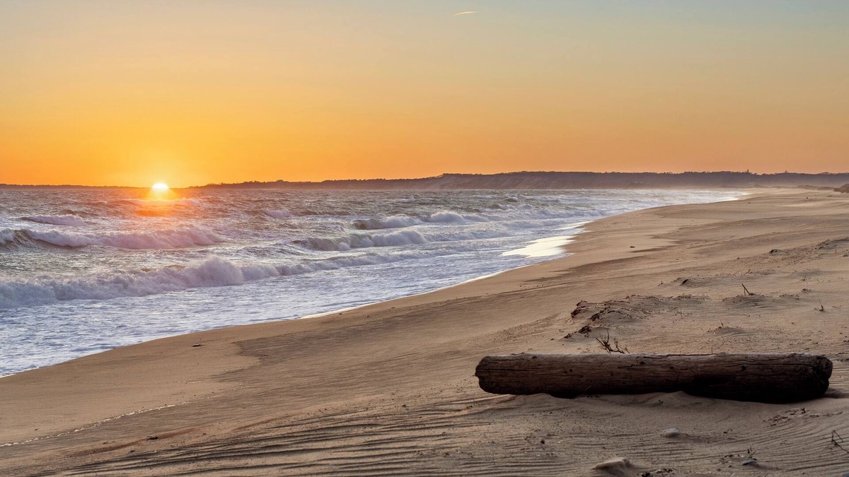 Chilmark House | Chilmark 1-bedroom Bunk house, WiFi, AC. Private Beach, Pets. No kitchen
