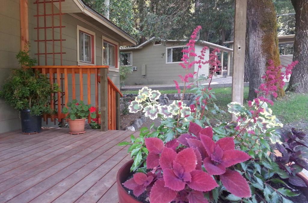 Willow Creek Hotel | China Creek Cottages
