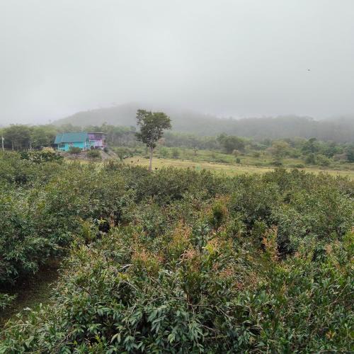 Huai Sat Yai Other | Chomview Hut