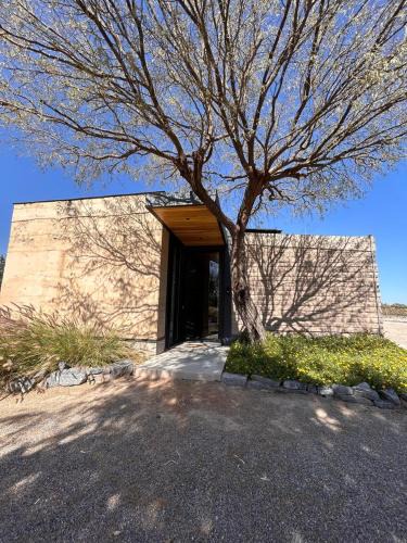 Soledad de Graciano Sanchez House | Choza Viñedo Bodega 1881