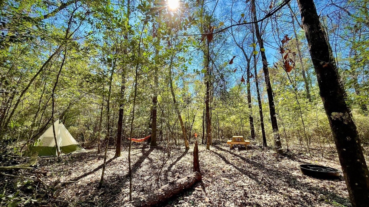 Cantonment RV Rental | Christian Retreat Campsite #5 - Hidden Holly
